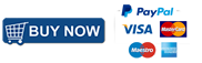 Buy now button with visa, mastercard, paypal and other payment method logos
